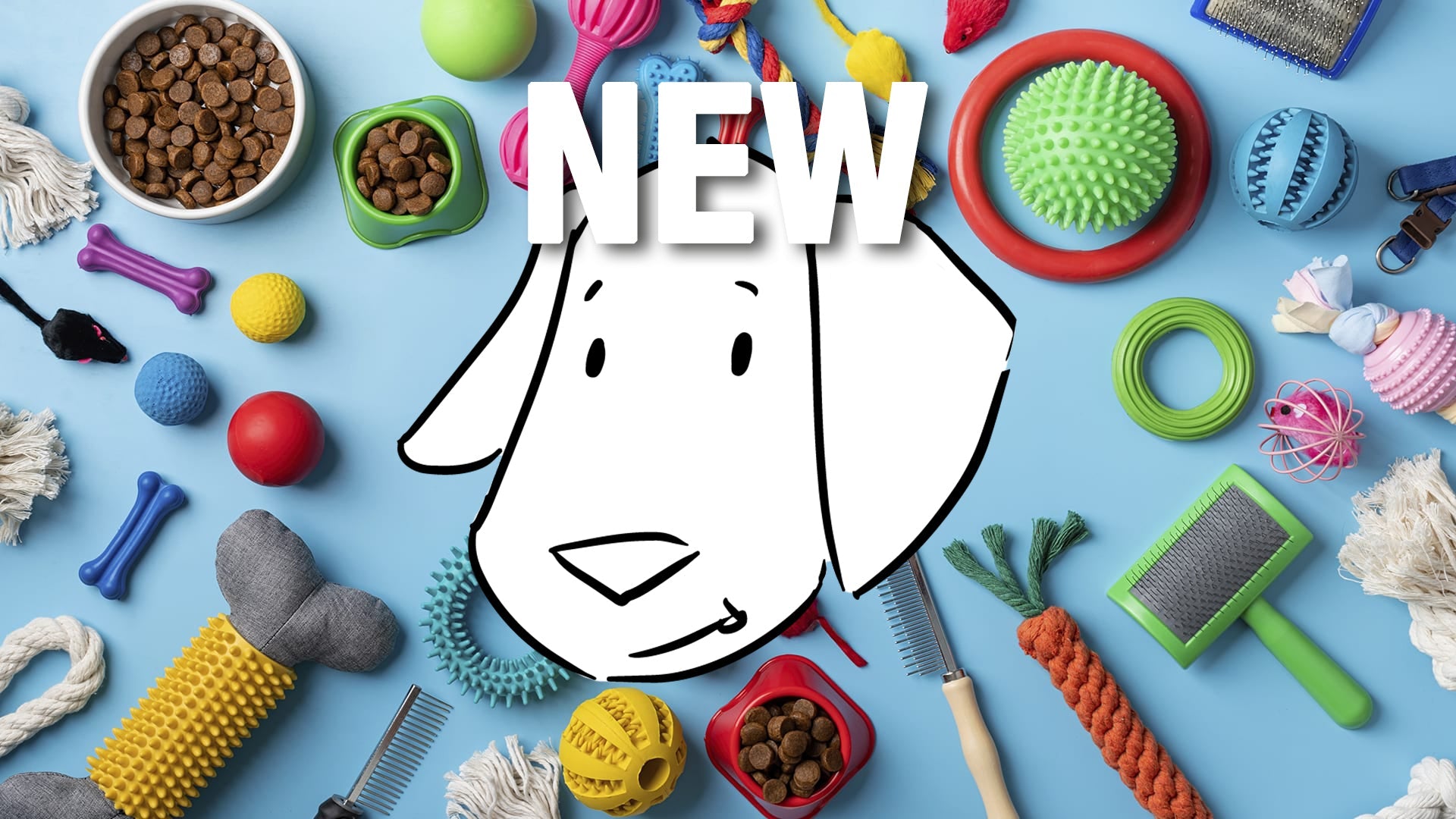Nouveautés chiens