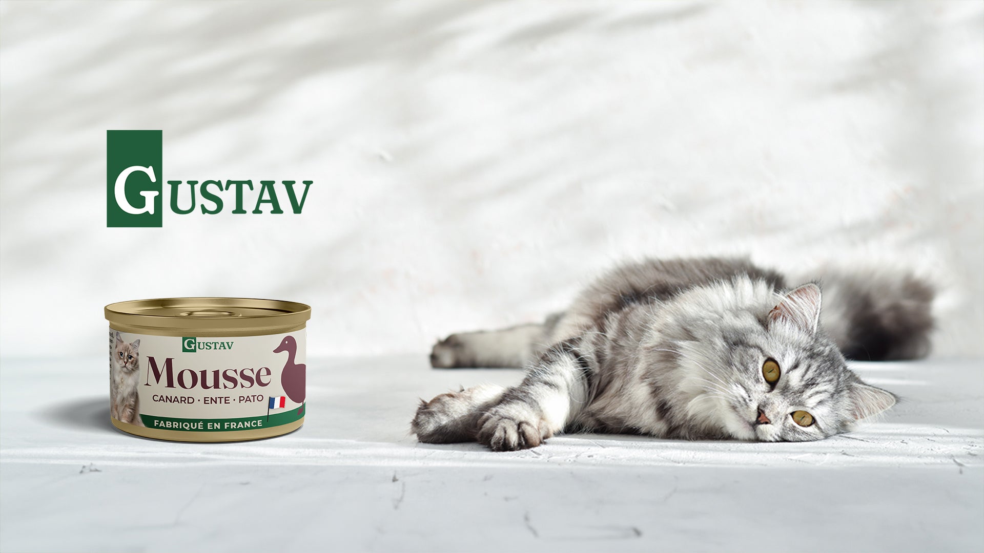Gustav Boîtes Chats