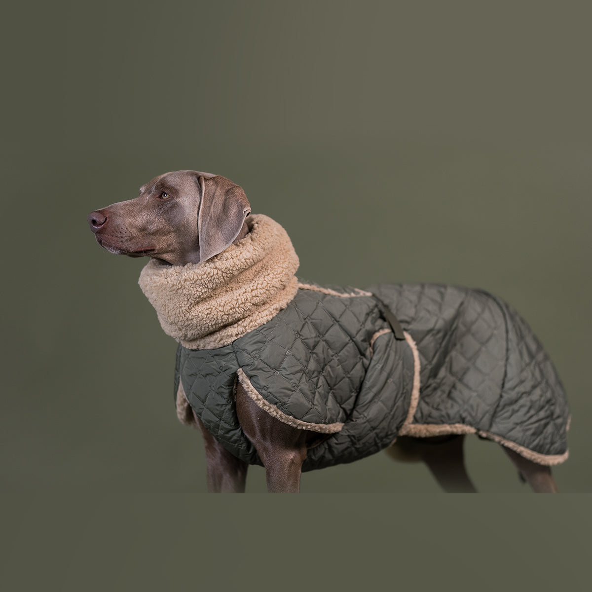 PAIKKA GESTEPPTE SHERPA-JACKE OLIVE 45