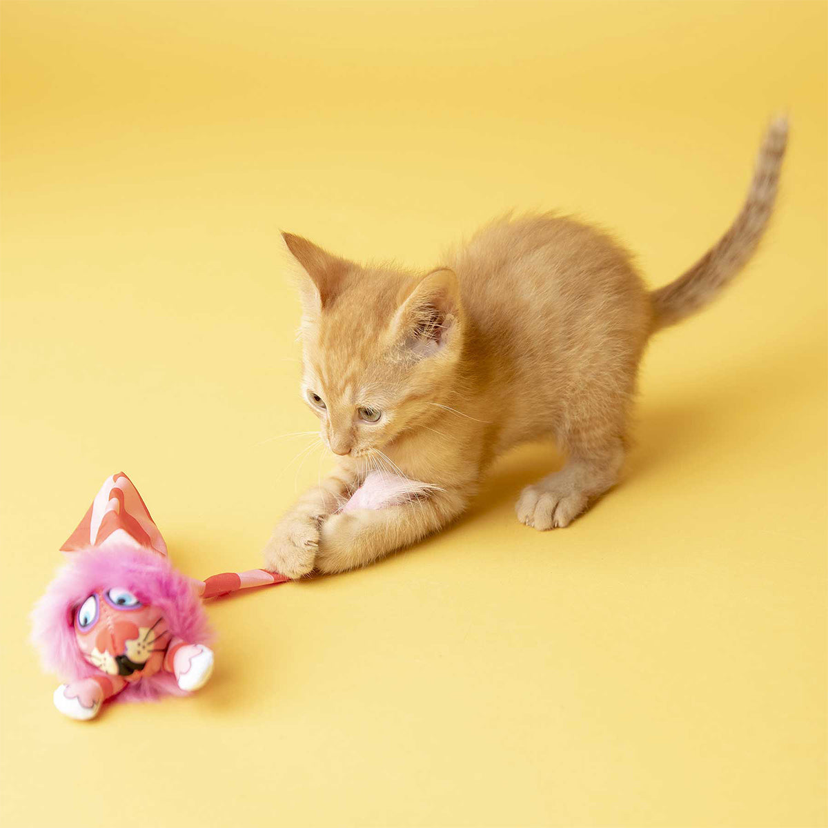 CATNIP APPETEASERS 3PCS (MIX)