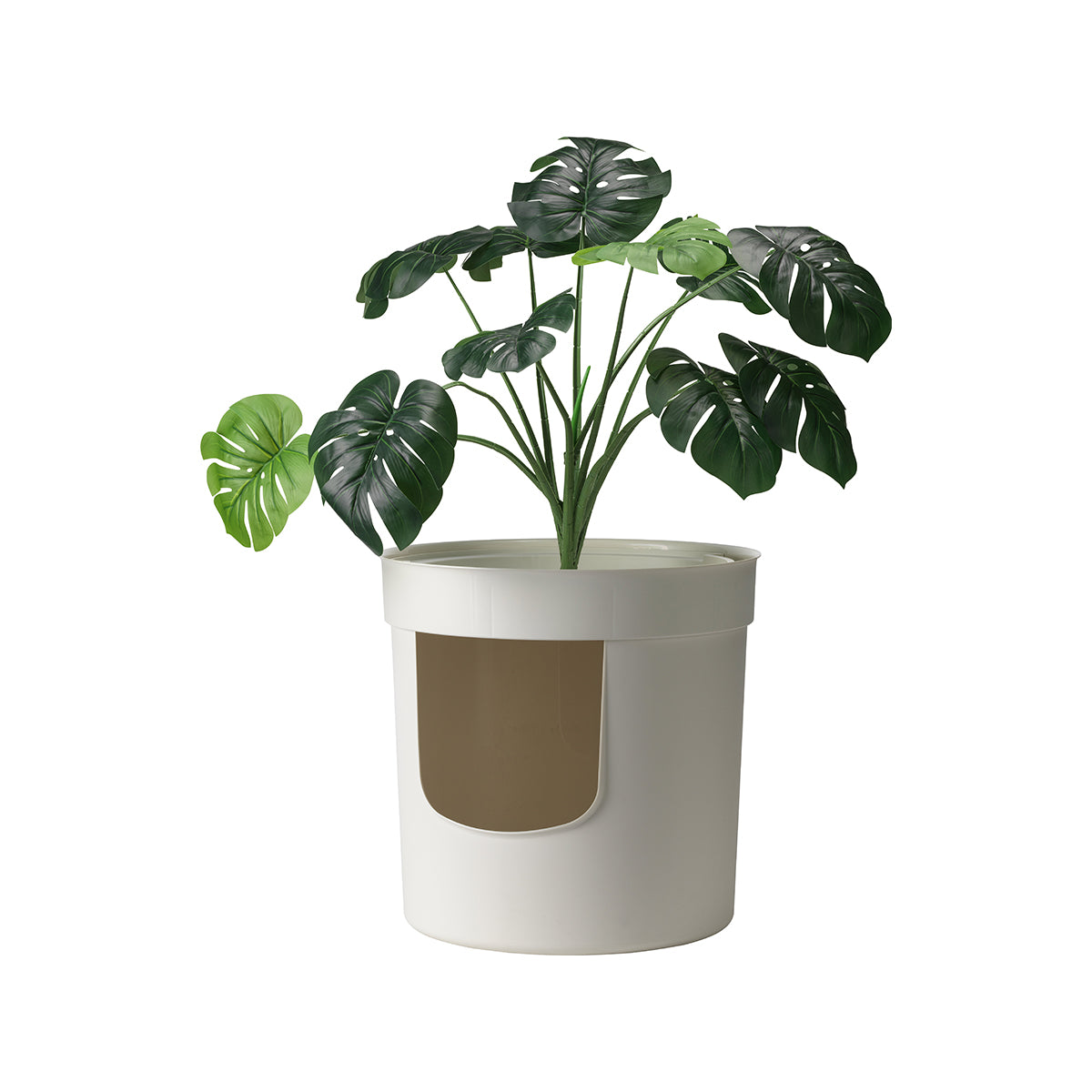 VERSTECKTER PFLANZER