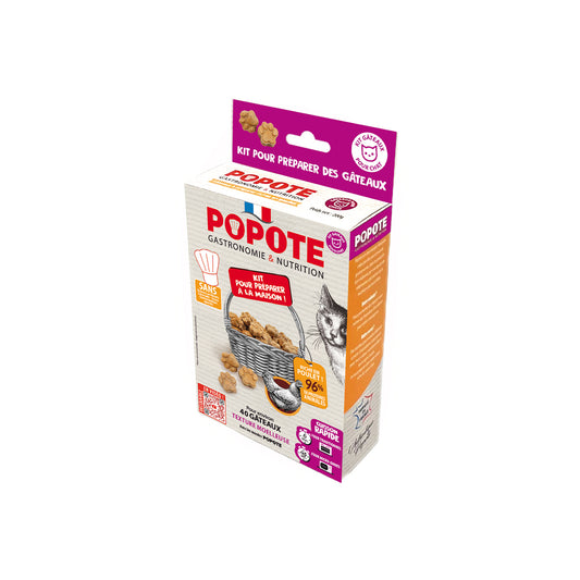 POPOTE KIT FRIANDISES CHAT POULET 200G