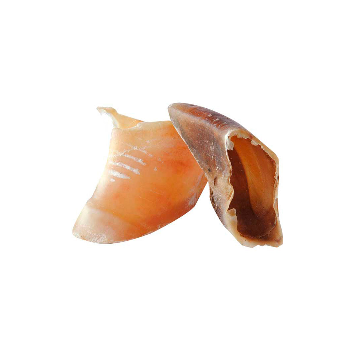 WADENHUFE