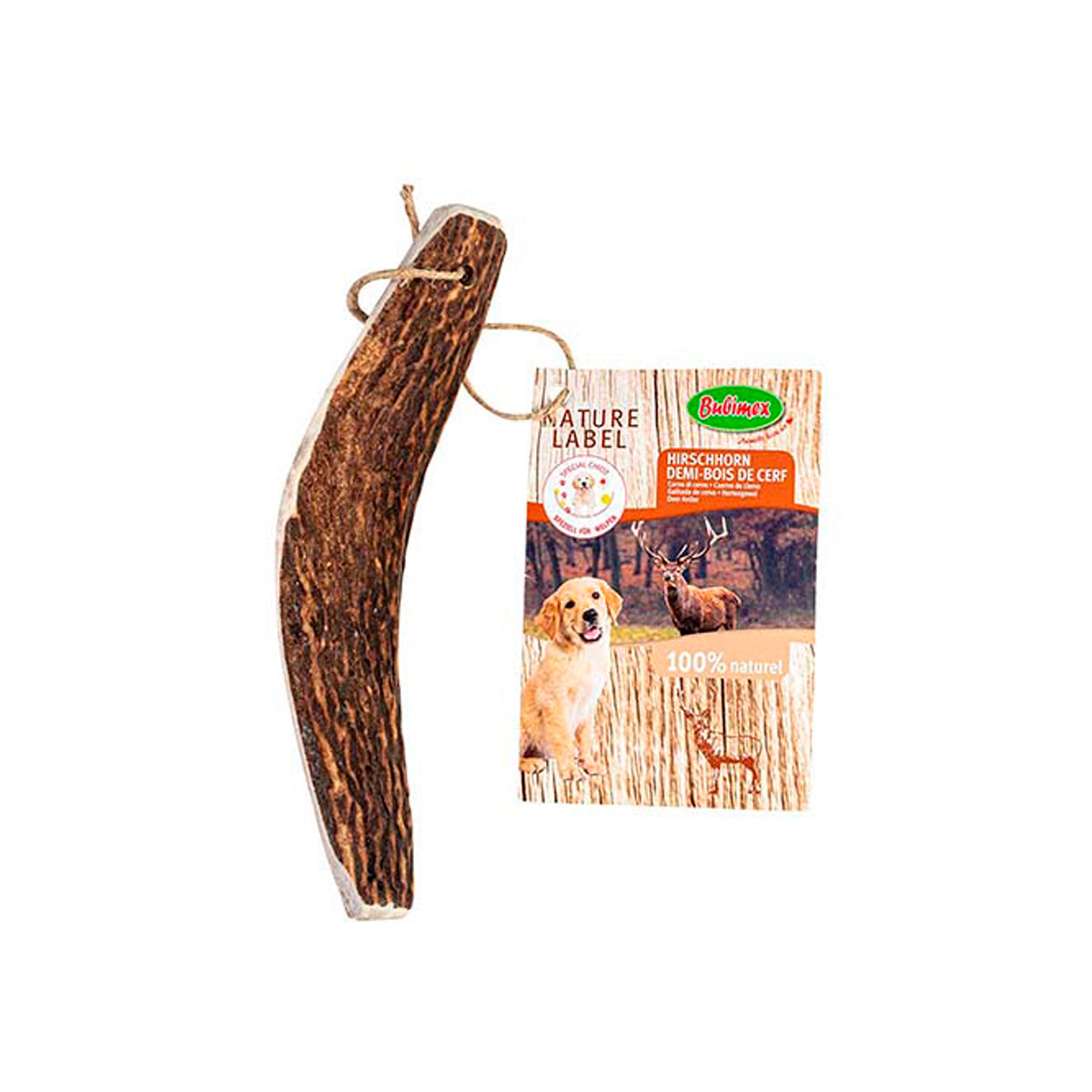 BOIS DE CERF COUPE EN DEUX M