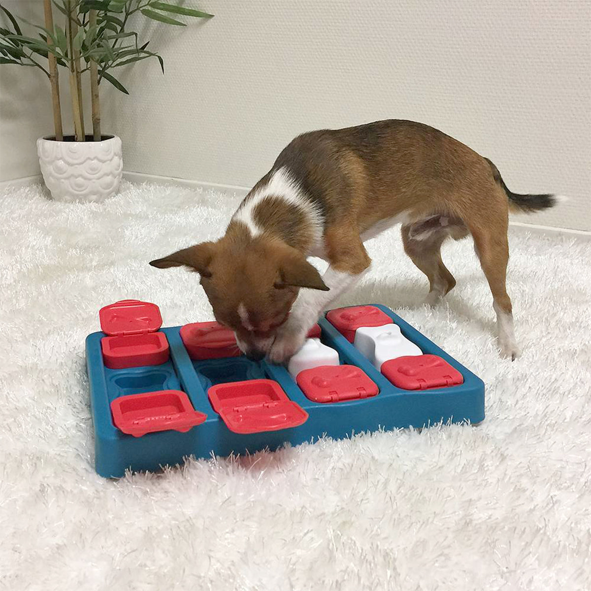 NINA OTTOSSON DOG TREAT BRICK