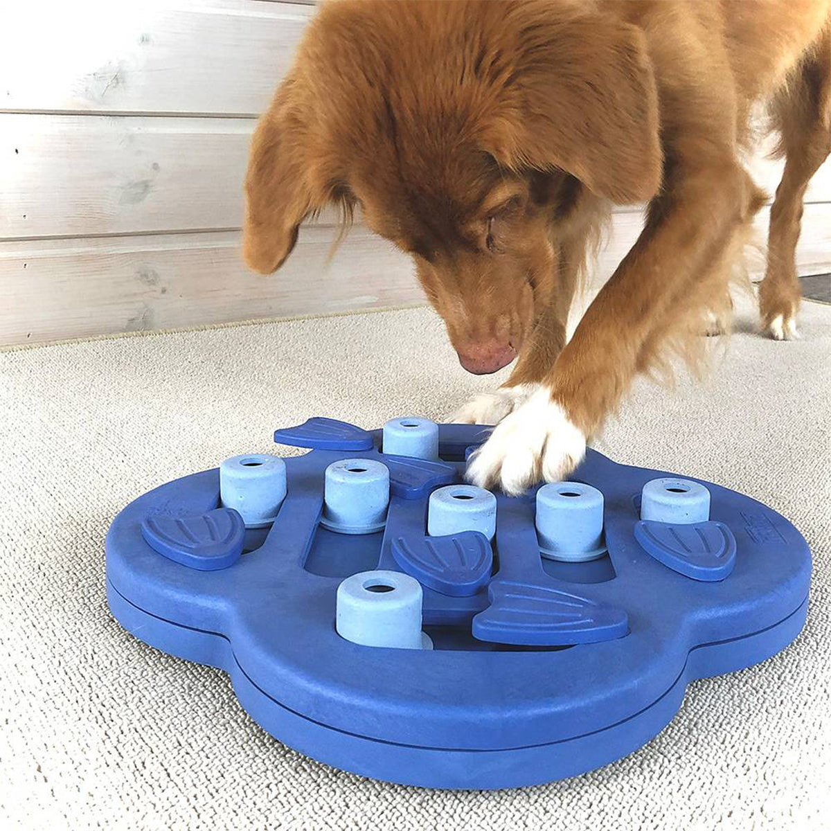 NINA OTTOSSON DOG HIDE N SLIDE