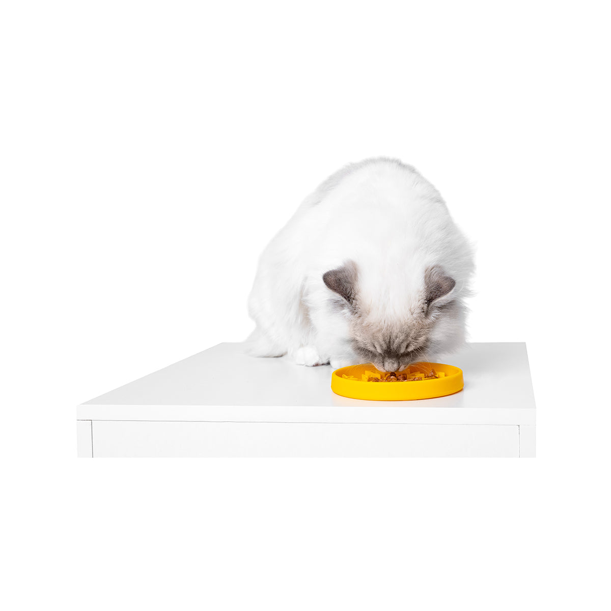 KIWI GAMELLE ANTI-GLOUTON PAW MINI VERT