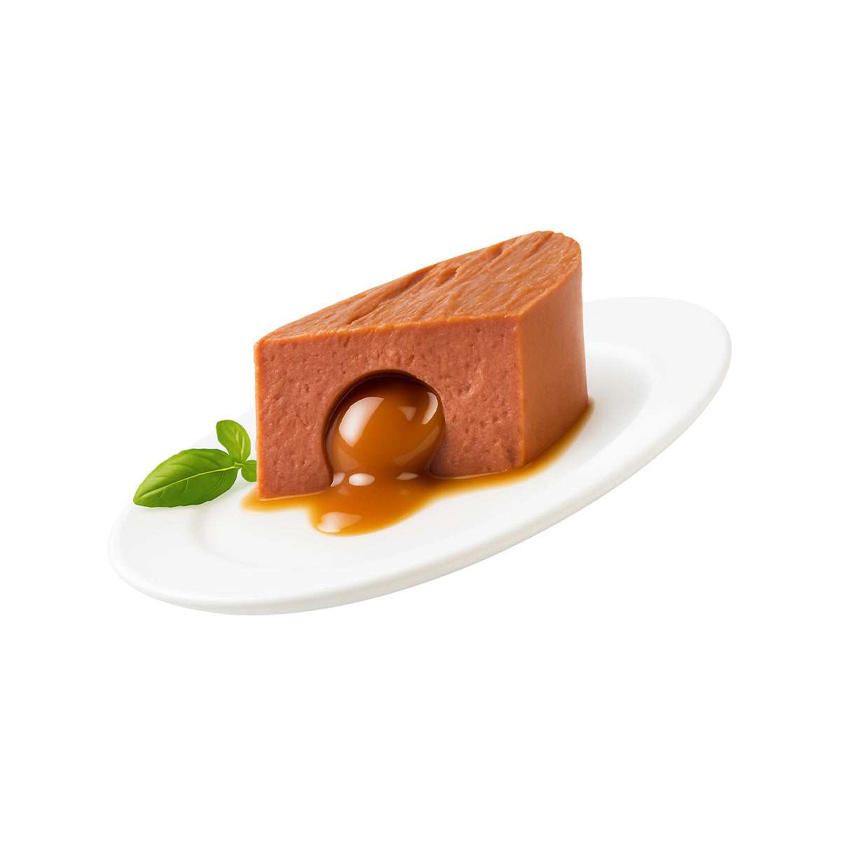 GUSTAV FONDANT CHAT SAUMON 12 X 85G