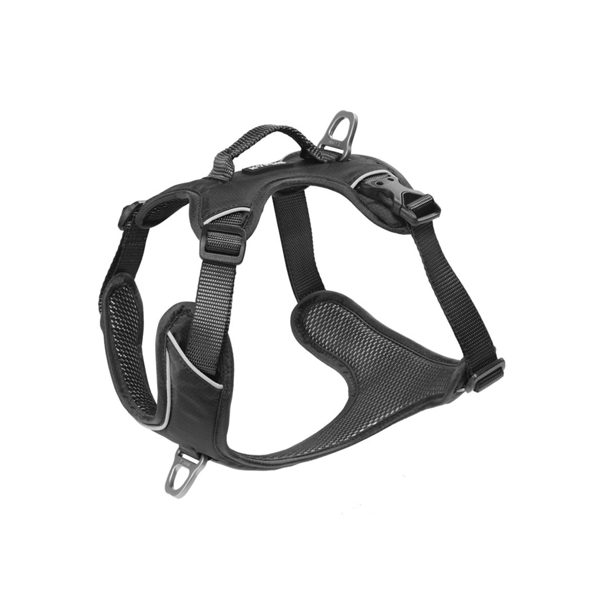 KYFLIE GESCHIRR MOMENTUM XS SCHWARZ
