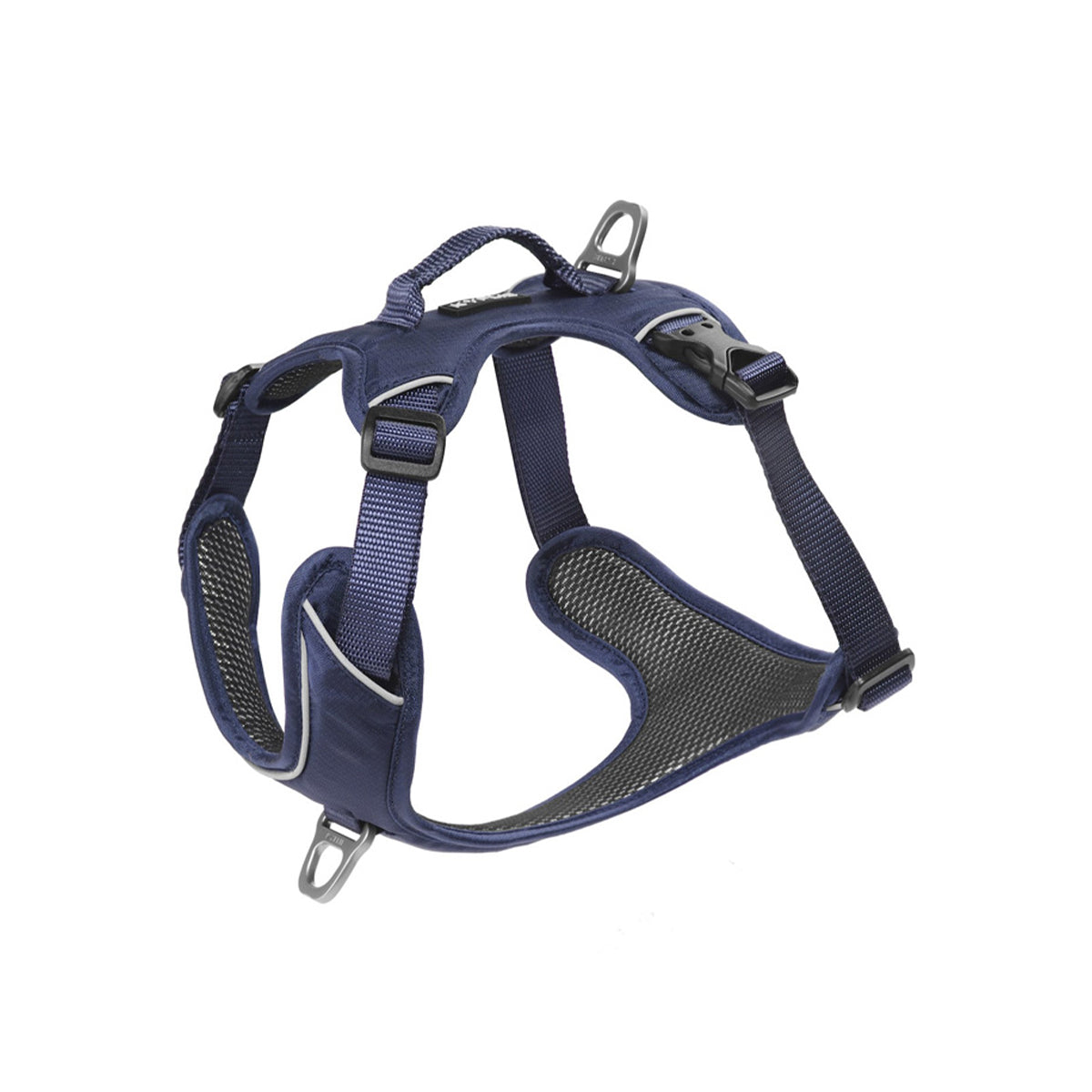 KYFLIE GESCHIRR MOMENTUM XL PETROLBLAU