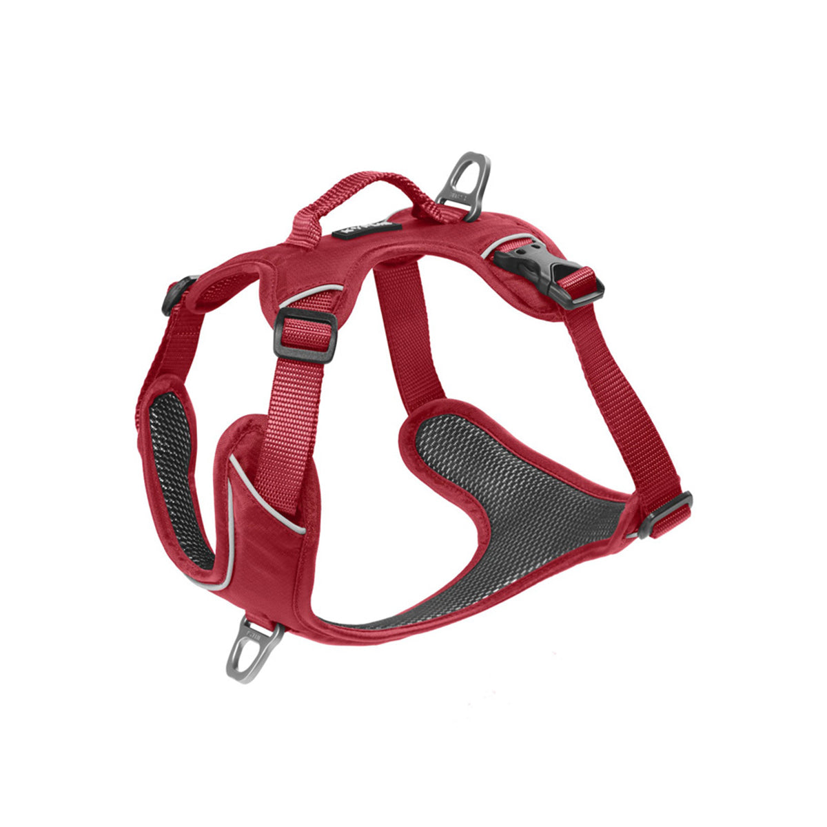 KYFLIE GESCHIRR MOMENTUM M ROT