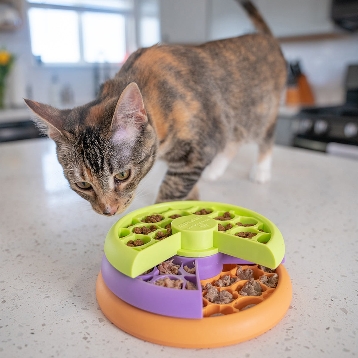 NINA OTTOSSON KITTY LICKIN' LAYERS