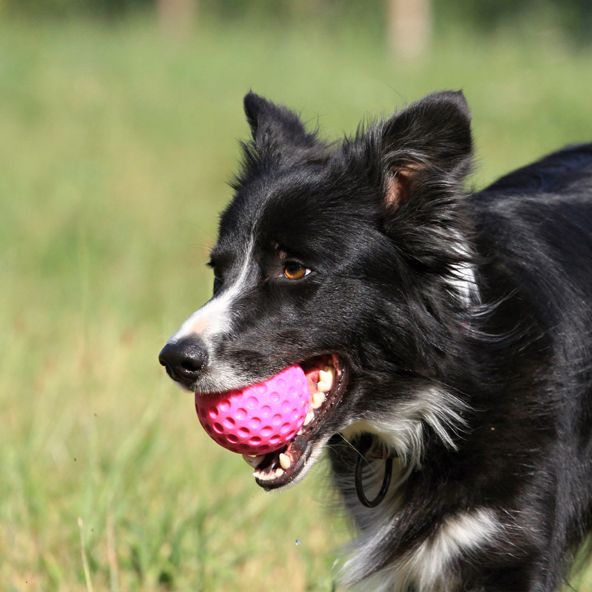 KIWI BALL ROSA M