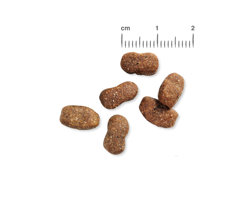 JUNIOR GF POULTRY 4 KG BELCANDO