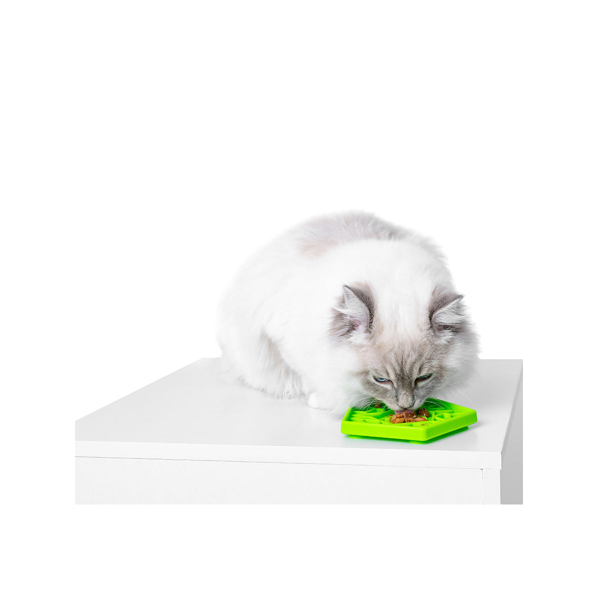 KIWI TAPIS A LECHER PENTA MINI VERT