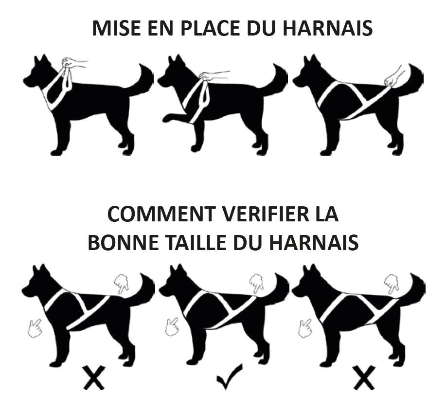 KYFLIE HARNAIS LUDUS T1 ROUGE