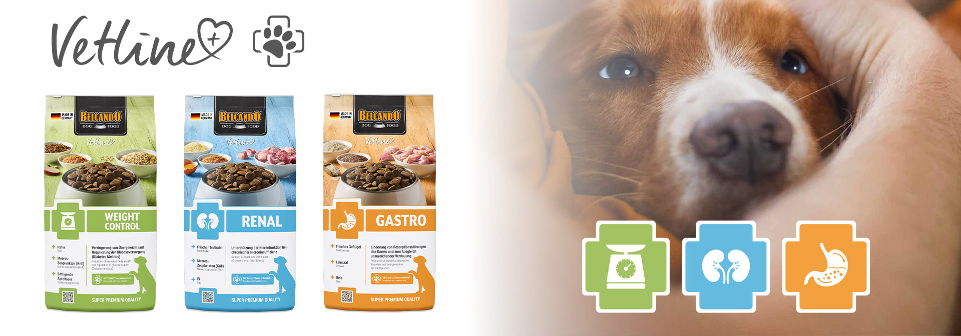 BELCANDO Vetline sec