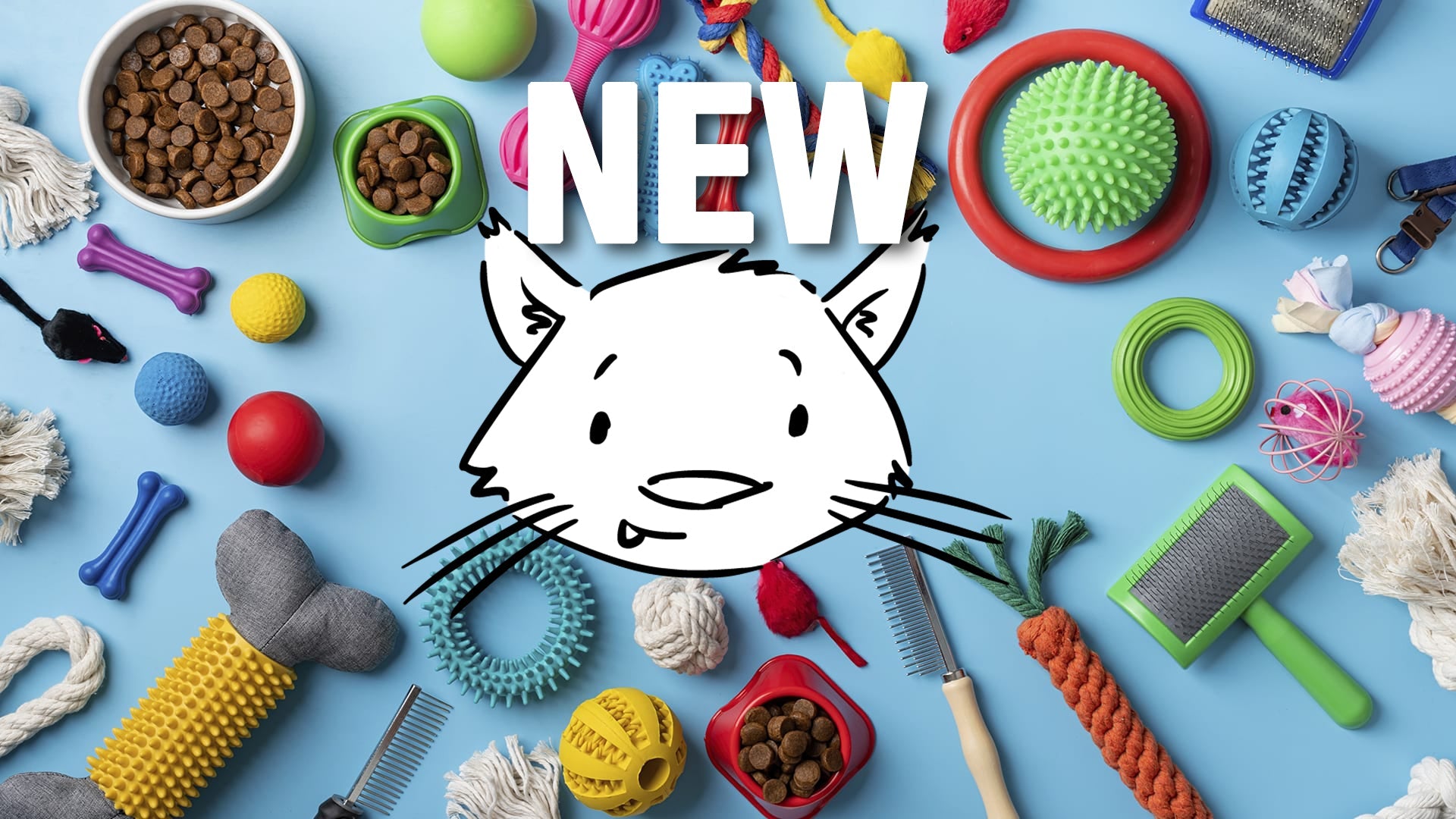 Nouveautés chats