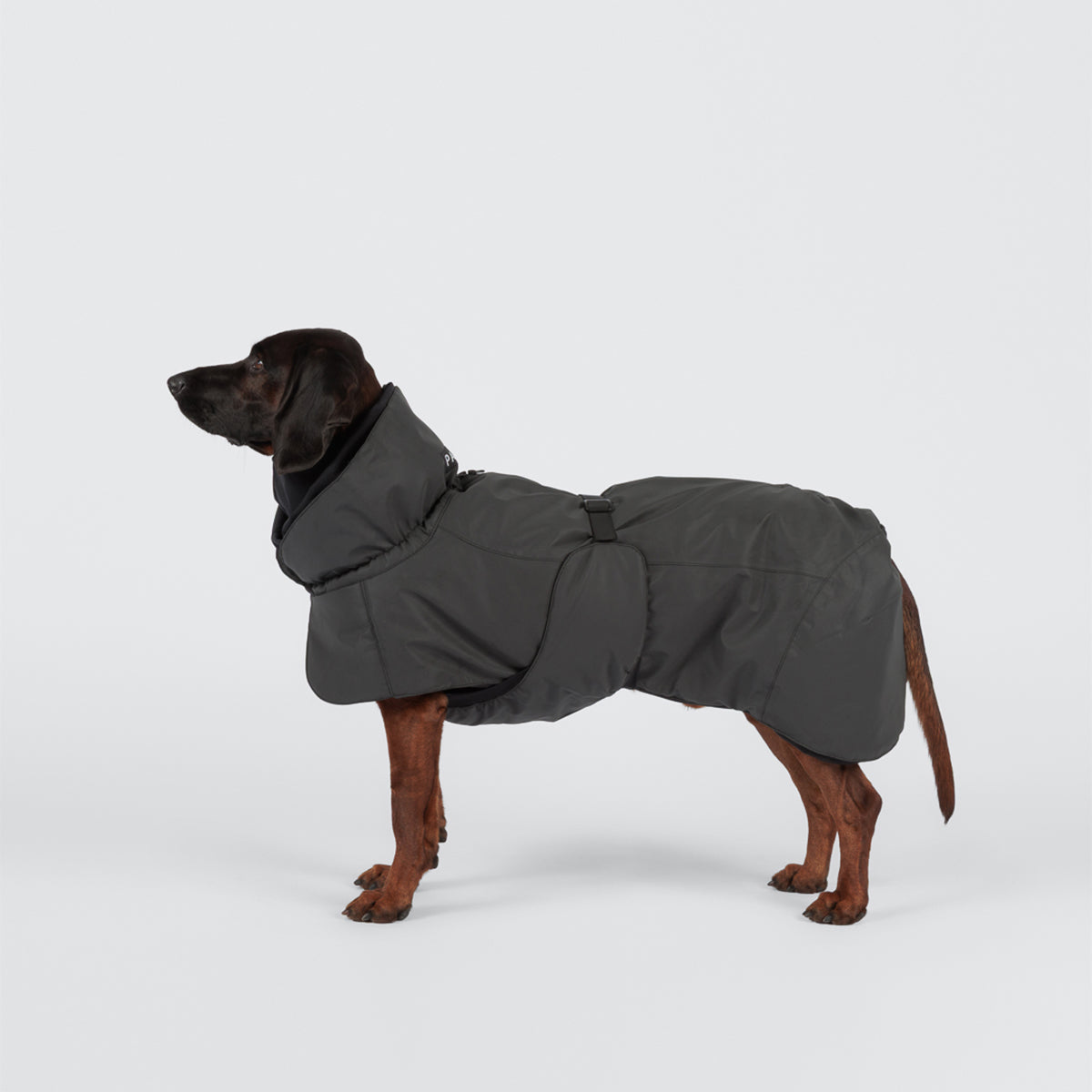 PAIKKA WINTERJACKE VISIBILITY SEAWOOL DARK 55