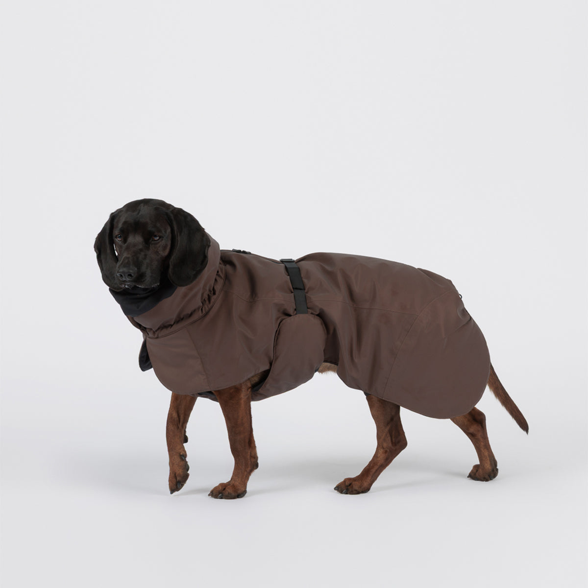 PAIKKA WINTERJACKE VISIBILITY SEAWOOL SCHOKO 25