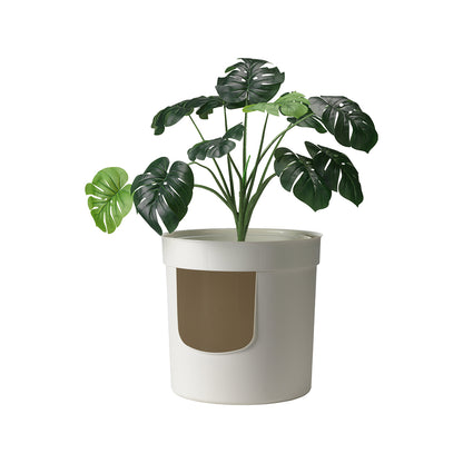 VERSTECKTER PFLANZER