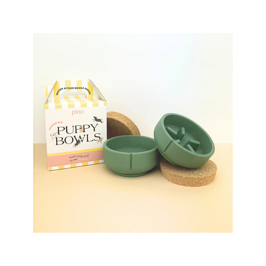 PINO PUPPY BOX SET DUCK GREEN