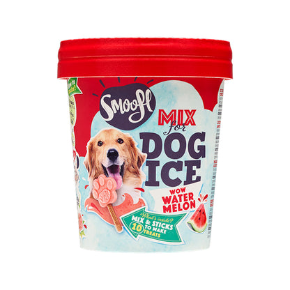 SMOOFL GLACE A LA PASTEQUE