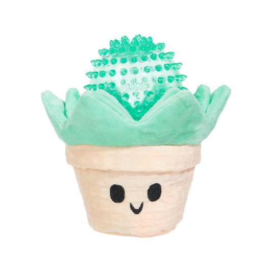 BARK SUKI LA SUCCULENTE
