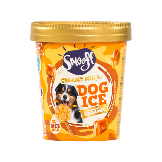 SMOOFL GLACE AU CARAMEL CREMEUX