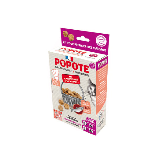 POPOTE KIT FRIANDISES CHAT SAUMON 200G