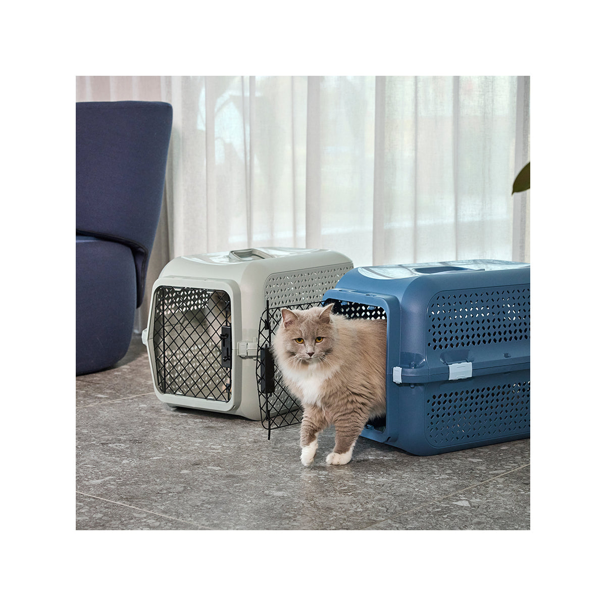 TRANSPORTBOX VENTURA COPEN BLUE