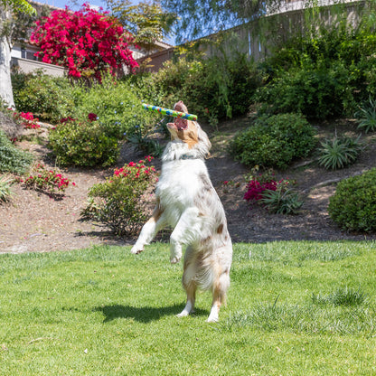 RECYCLED ULTRA FETCH STICK