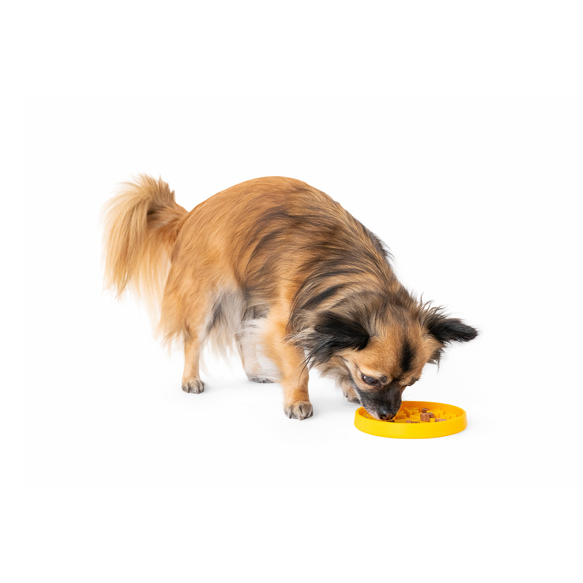 KIWI GAMELLE ANTI-GLOUTON PAW MINI VERT