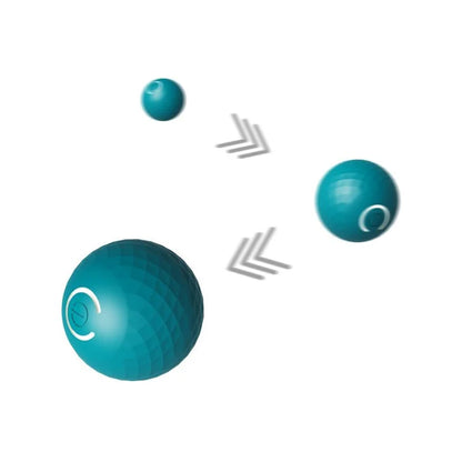 EASY PET BALLE INTERACTIVE