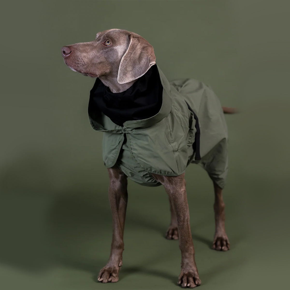 PAIKKA IMPERMEABLE REFLECHISSANT VERT 20