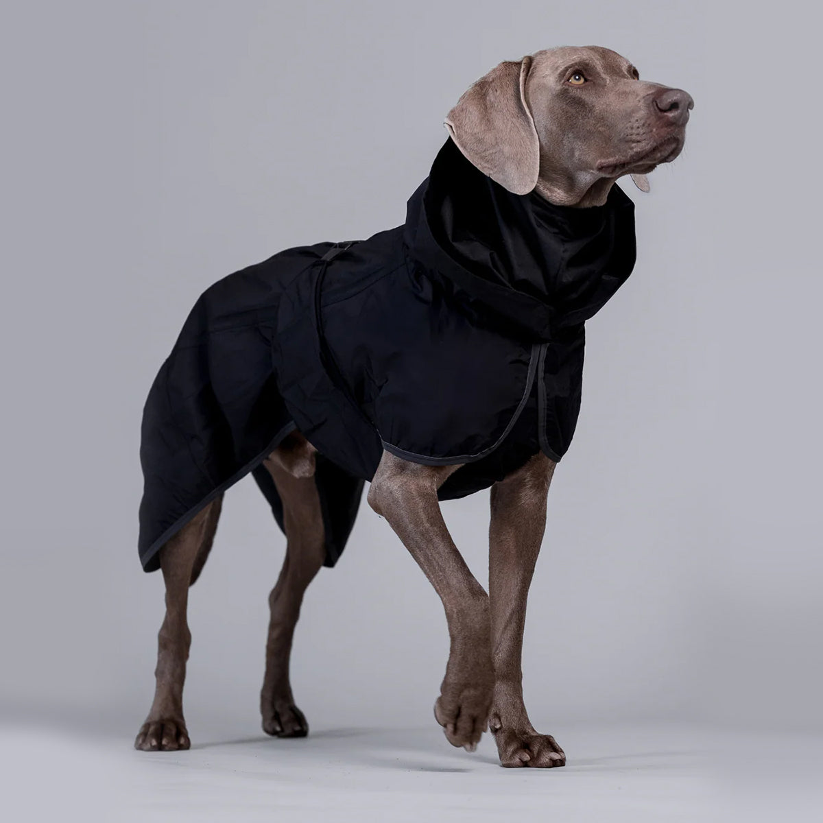 PAIKKA IMPERMEABLE RECOVERY LITE NOIR 55