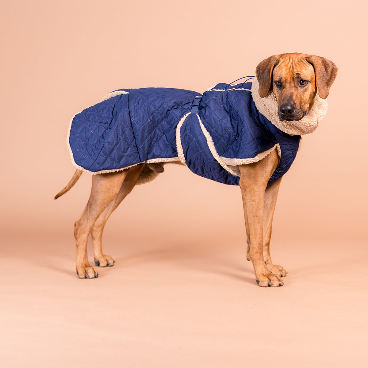 PAIKKA VESTE SHERPA MATELASSEE NAVY 50