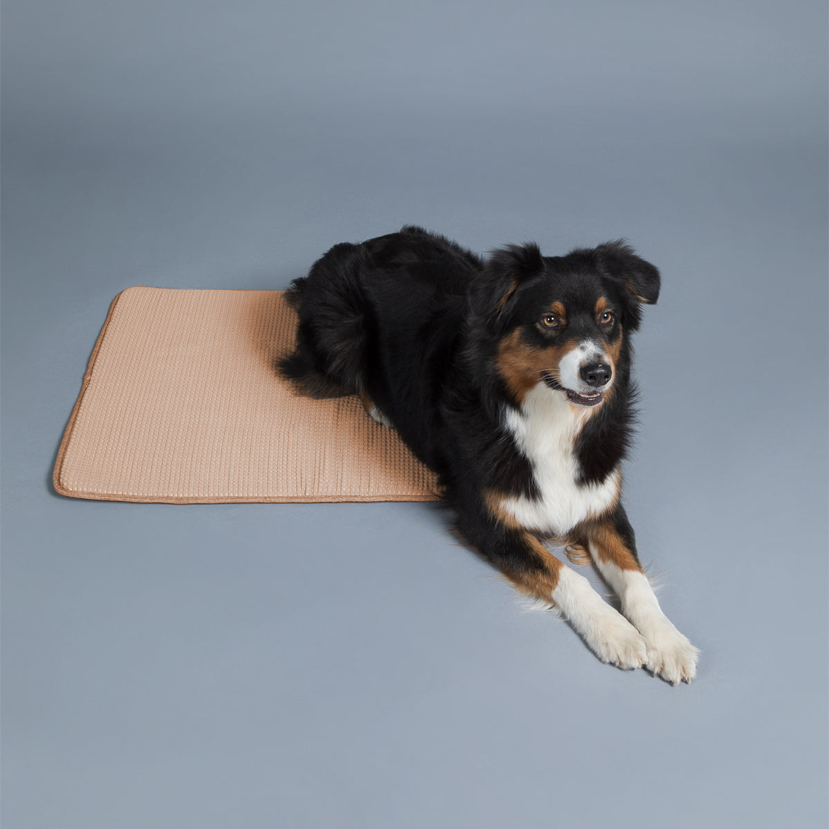 PAIKKA TAPIS RAFRAICHISSANT TAUPE 100CM