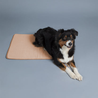 PAIKKA TAPIS RAFRAICHISSANT TAUPE 100CM