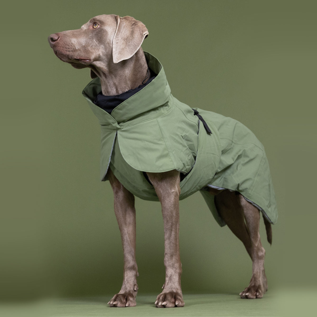 PAIKKA VESTE HIVER VISIBILITY VERTE 65