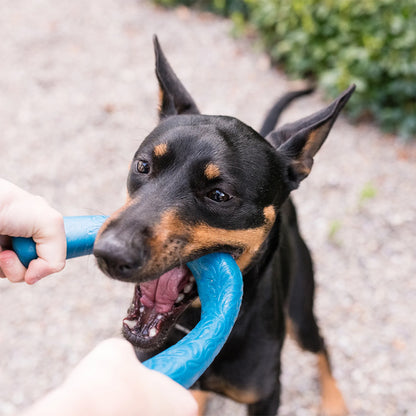 SNORKL BLUE WEST PAW